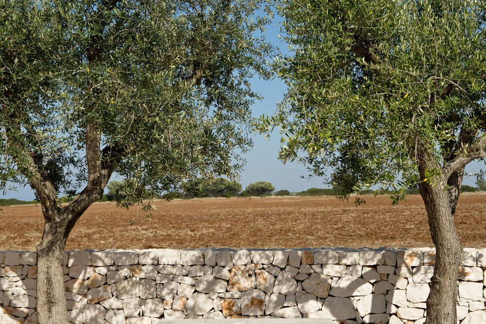 Grand Hotel Masseria Santa Lucia Ostuni Exterior photo